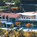 상주 황령사 아미타후불탱 이미지