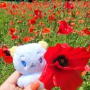 남포육전밀면&굴국밥 이미지