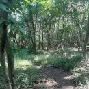 대상동경로당 이미지