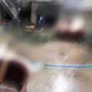 이병우농장 이미지