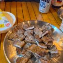 마이바베큐캠프 | 강릉 서정캠프 카라반 후기 | 캠핑 감성은 살리고, 고생은 하기 싫으면 이곳입니다.