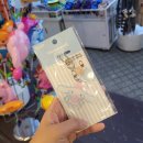 24년 10월 중순 기록