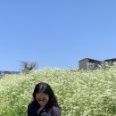 야생화짱스토어 | 모두가 자라나는 계절
