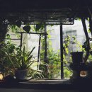 무기식당 이미지