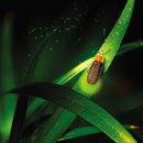 설천면115 이미지