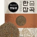 콩브라운