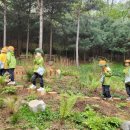 놀이터에서 만나 이미지