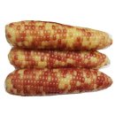 조은상사 이미지