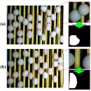정규화 농장 이미지
