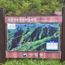 잔디마당 자동차 야영장 이미지