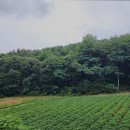 화성미소요양병원 | 화성요양원 다원실버케어 프리미엄 호텔식 돌봄