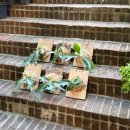 [10/29]가드닝 클래스 | 창원 원데이클래스 박쥐란부작원데이클래스 체험 후기 [보타미 가드닝]