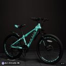 휠스 | 초등학생 자전거 추천 24인치 주니어 MTB 오투휠스 마하 X7 후기