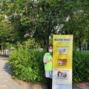 와룡아랫공원 이미지