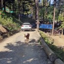 솔다람숲캠핑장 이미지