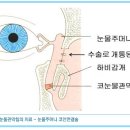 건강만세 이미지
