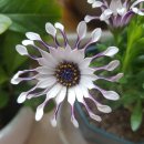 대륭산업 이미지