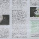 밀알광고 이미지