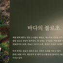 수원-0478 티스토리