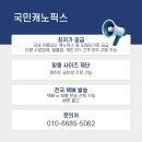 국민렉산