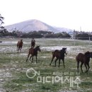 라온목장 이미지