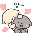 신보미피아노학원