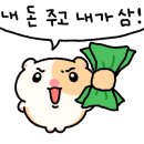 샐러드먹곰 이미지