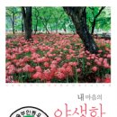 내마음의여행 이미지
