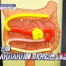 뱃살 -5cm 줄이기 이미지