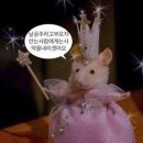 2024년 11월