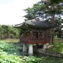 봉산2리마을회관 | 해파랑길 24코스: 울진1구간(후포항-기성터미널)