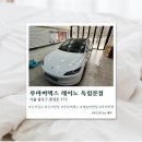 루마버택스/레이노 | [서울] 서대문썬팅 루마버텍스 레이노 독립문점 솔직후기
