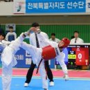 국가대표 태비태권도 네이버블로그