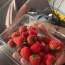 거북면세점 이미지