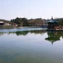 준이컴퍼니 네이버블로그