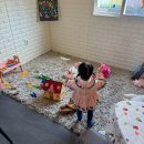 하빛율빠꿈사리 | 전남 아이와가볼만한곳 고흥 하빛율빠꿈사리 양떼목장 먹이주기 이색체험 가족나들이로 추천!