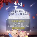 톰과 제니 동물메디컬센터 이미지