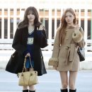 리즈&Co