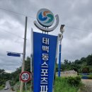 태백동스포츠파크 풋살장 네이버블로그