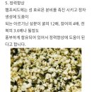 햄프씨드의효능및 활용 이미지