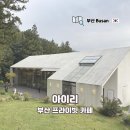 금정-10 | 부산 프라이빗 대형 카페 아이리 금정산성 숲속뷰 방문 후기