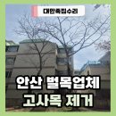 원선로북길1R | 안산 벌목업체 빌라 고사목 나무제거 가지치기 비용