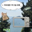 통영펜션기가솔솔민박 | 거제 통영 1박2일 여행 코스 / 나나의주전자, 뚱보할매김밥집, 동피랑벽화마을, 짹짹커피