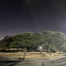 경주 디아너스cc 겨울 라운딩 후기 캐디가 구장의 이미지를 결정한다