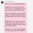 분당24시동물의료센터 | 24시 일산우리 동물의료센터 슬개골 수술 후기