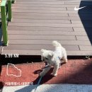 김은숙미용실 - 달성군 비슬로508길 24 | 주말 출근과 함께...