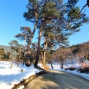 북천경로당 이미지