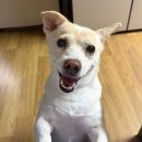 남해-296 이미지