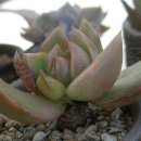 동운농장 이미지