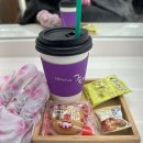에이바헤어 강남자곡점